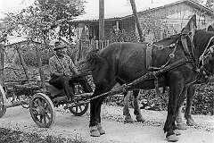 Samobor, Croatia - Transport on the road back to town.