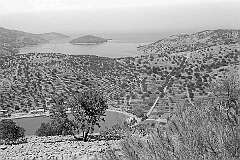 Vela Luka, Korčula - View over the bay of Vela Luka to the small island Otočić Ošjak.